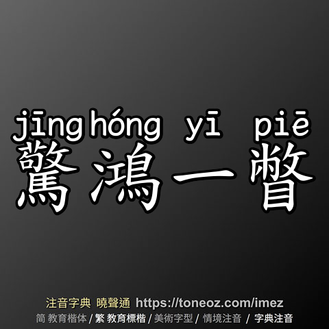 驚鴻一瞥