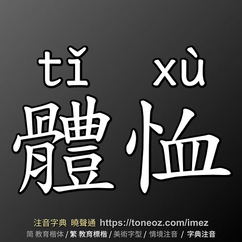 體恤