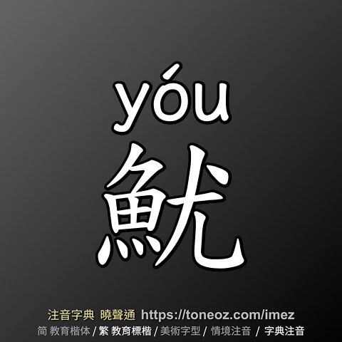 魷
