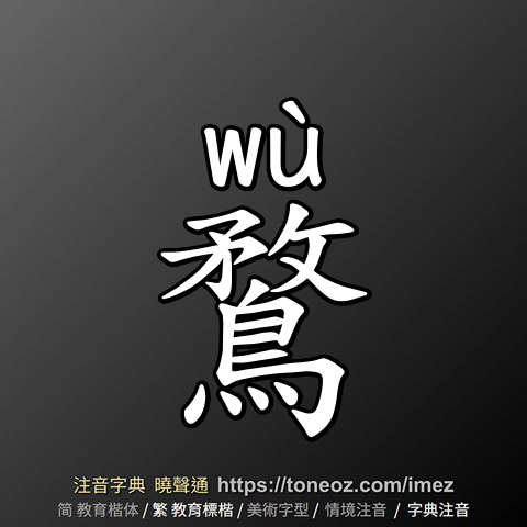 鶩