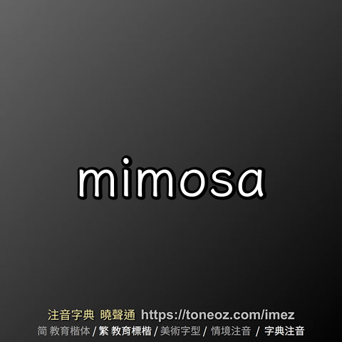 mimosa