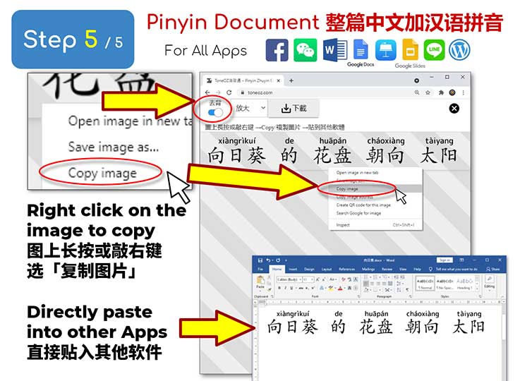 chinese microsodft word